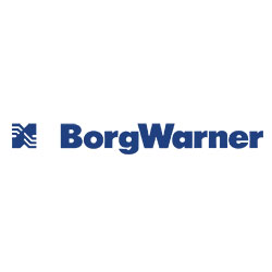 BorgWarner Steel Plate 465138